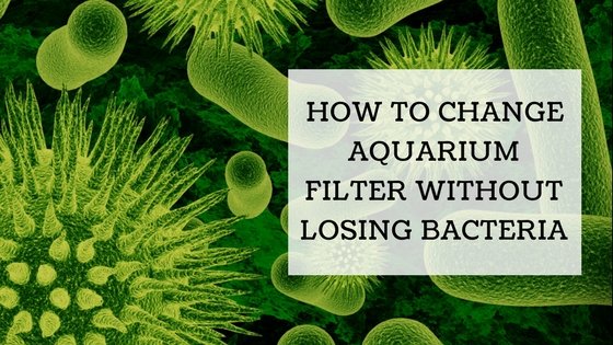Aquarium filter with biological media being changed safely