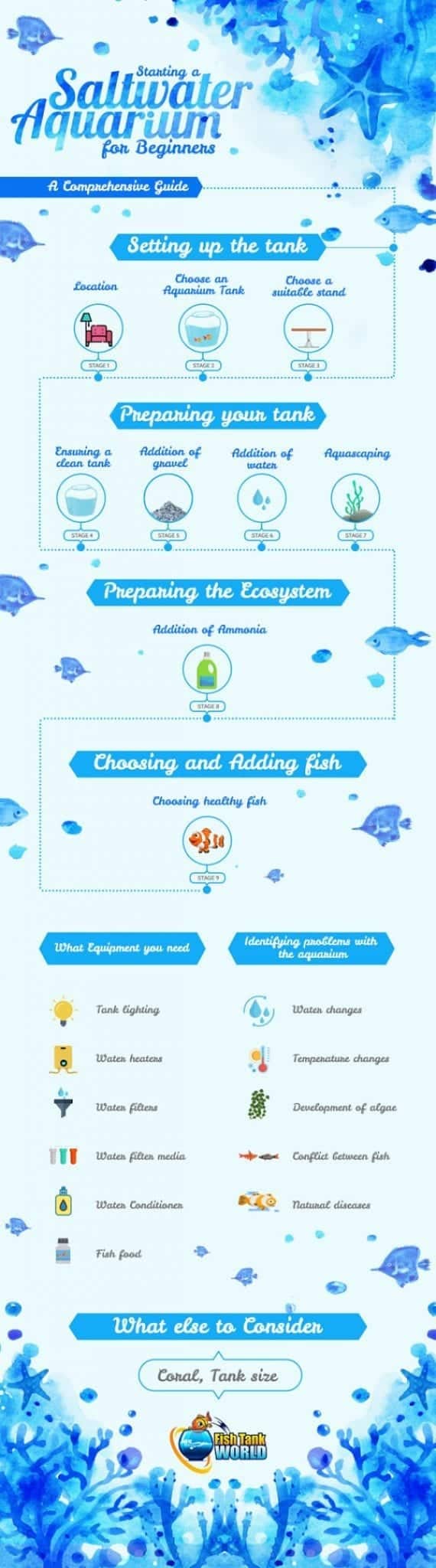 Starting a Saltwater Aquarium for Beginners - A Comprehensive Guide infographic