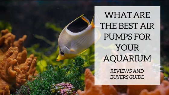 Best aquarium air pumps lined up for comparison