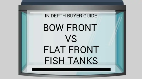 Bow front aquarium with curved glass front panel creating a bulging visual effect