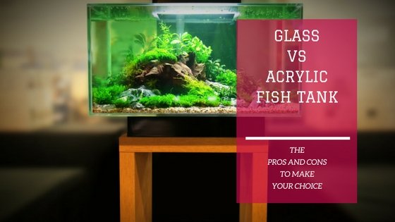 Side-by-side comparison of glass and acrylic fish tanks